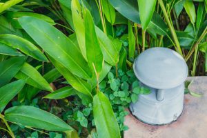 Things You Need to Know About Outdoor Audio Systems